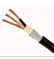NCI Armoured Cable (Sold per Meter), 2 or 3 Core XLPE Insulated SWA Armoured PVC Sheathed – Heavy Duty LV Power Cable for Industrial Feeds, Outdoor Runs & Mechanical Protection